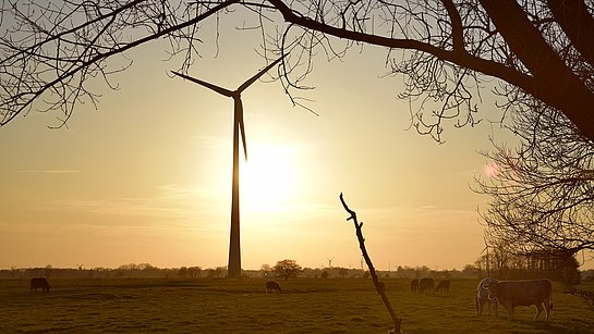 windpark in the evening | SWEB