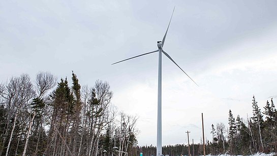 Saint Rose Wind Energy Plant in Winter | Canada | SWEB