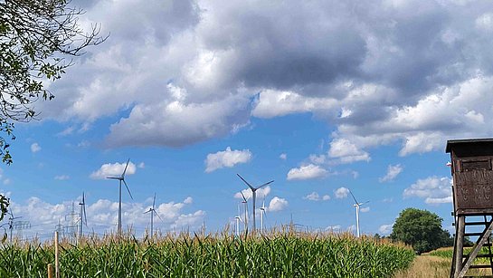 Windkraftanlage Glaubitz RII - Deutschland | WEB Windenergie