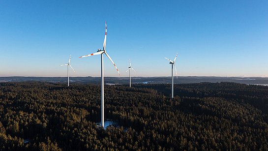 Windräder im Wald von Grafenschlag