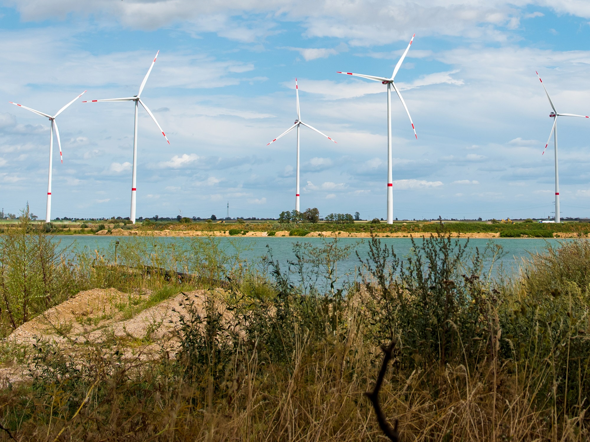 Windpark Wörbzig